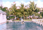 Swimming pool, Royal Palm Hotel..