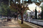 Alachua Avenue - Gainesville, Florida.
