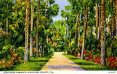Highlands hammock - Highlands County, Florida