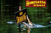 Alligators - Homosassa Springs, Florida.