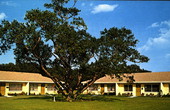 Aldersgate Retirement Center - Kissimmee, Florida