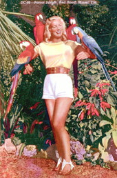 Parrot jungle, Red Road - Miami, Florida.