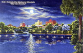 The city beautiful- Orlando, Florida skyline by moonlight