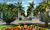 Royal Palm Way - Palm Beach, Florida