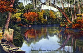 Beautiful Suwannee River - Florida.