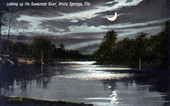 Looking up the Suwannee River - White Springs. Florida