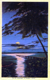By the moonlight in Florida