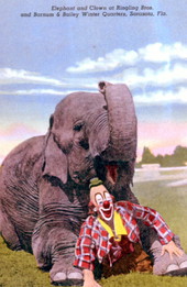 Elephant and clown at Ringling Brothers and Barnum and Bailey winter quarters - Sarasota, Florida.