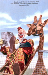 Giraffe and clown at Ringling Brothers and Barnum and Bailey winter quarters - Sarasota, Florida.