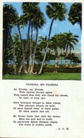Florida, my Florida.