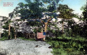 The Circle in December 1911 - Sebring, Florida.