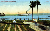 Celery growing, City of Jacksonville steamboat in the background - Sanford, Florida