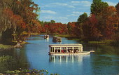 Florida's Silver Springs