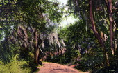 Old Saint Augustine Road - Tallahassee, Florida.