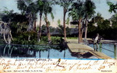 Sulphur Springs - Tampa, Florida.