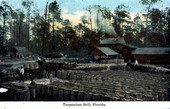 Turpentine still - Florida