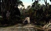 On Bridge Street - White Springs, Florida