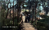 A lover's walk - White Springs, Florida