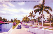 Famous Royal Palms along Las Olas Blvd., Fort Lauderdale, Fla..