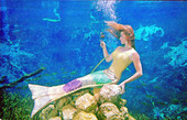 Mermaid Bonita Colson checking her hair in a mirror - Weeki Wachee, Florida.