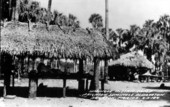 Seminole Indian camp - Brighton Reservation, Florida.