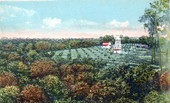 Orange Grove on John F. May estate, Lake Elbert, Winter Haven, Fla.
