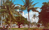 Looking from Bayfront Park at Biscayne Blvd - Miami, Florida .