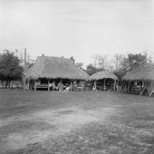 Charlie Cypress village