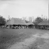 Charlie Cypress village