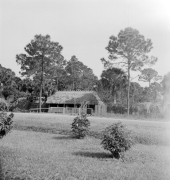 View of the Buster family village, showing a traditional Seminole chickee - Everglades City, Florida