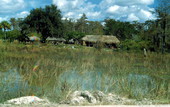 Chickees at the Big Cypress Seminole Indian Reservation