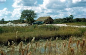 Car parked at a Seminole Indian home at the Big Cypress Seminole Indian Reservation