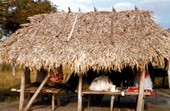 Seminole Indian chickee hut at the Dania Seminole Indian Reservation