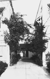 Jeanette Building court..