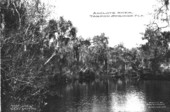 Anclote River, Tarpon Springs, Fla.