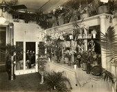 Florist's shop