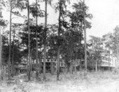 Altamonte Hotel - Altamonte Springs