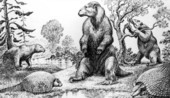 Megatherium and Glyptodont
