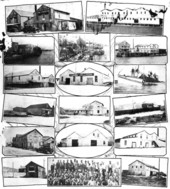 Photocollage of Apalachicola residents, fish and oyster houses.