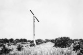 Anti-frost wind machine in a Pasco County grove.