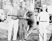 Deer hunters in Columbia County.
