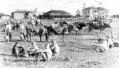 Children in the field at Florida Baptist Children's Home - De Soto County, Florida.