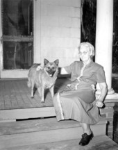 Dog lost six years returns.