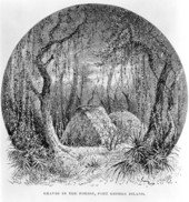 Drawing of graves in the forest.