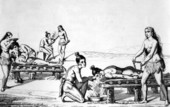 Timucua Indians treating the sick