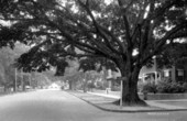 Riverside Avenue.