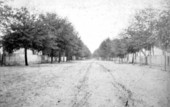 Adams Street.