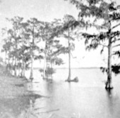 View on Lake Monroe