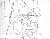 Ocala (Fla.)