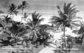 Lumus Park and the beach